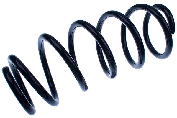 Denckermann D700188 Coil spring D700188