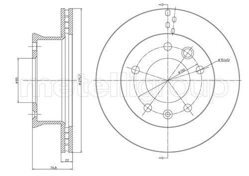 Trusting DF506 Front brake disc ventilated DF506