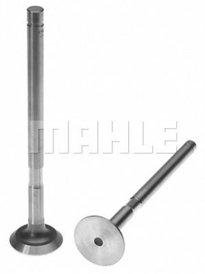 Mahle/Clevite 211-1719 Exhaust valve 2111719