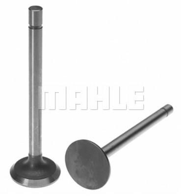 Mahle/Clevite 211-2439 Exhaust valve 2112439