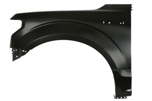 Front wing fender Ford USA: 6504042593311AP Blic Wing