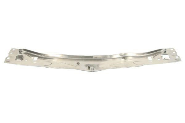Front panel BMW: 6502080073200P Blic Radiator Support