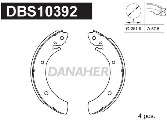 Danaher DBS10392 Brake shoe set DBS10392