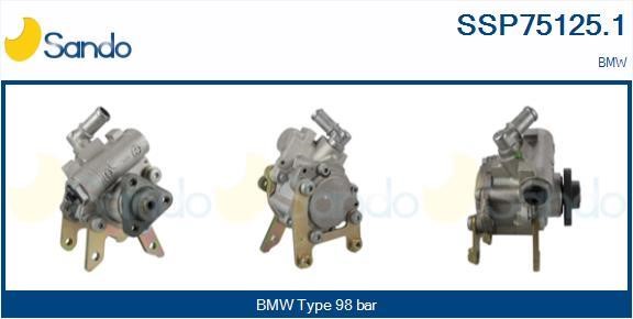 Sando SSP75125.1 Hydraulic Pump, steering system SSP751251