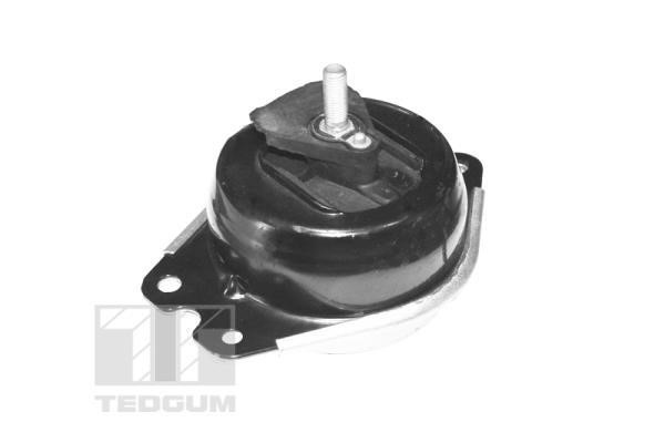 TedGum TED40414 Engine mount TED40414