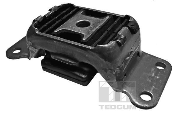 TedGum 00089499 Mounting, differential 00089499