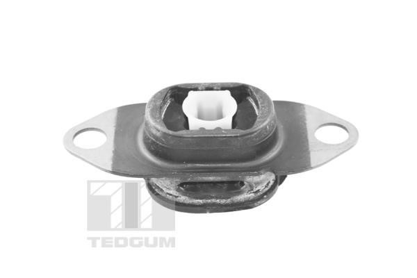 Buy TedGum TED46913 at a low price in United Arab Emirates!