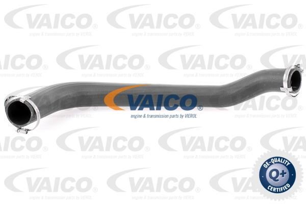 Vaico V251025 Charger Air Hose V251025