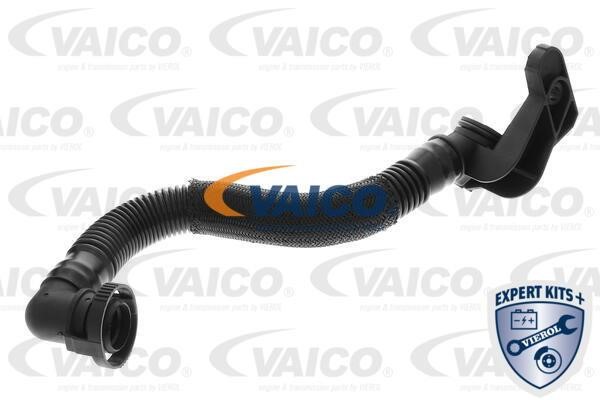 Repair Set, crankcase breather Vaico V10-5804