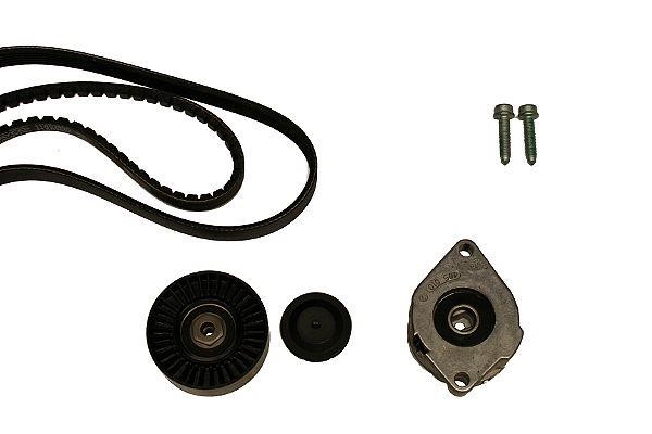 Hepu 20-1394 Drive belt kit 201394