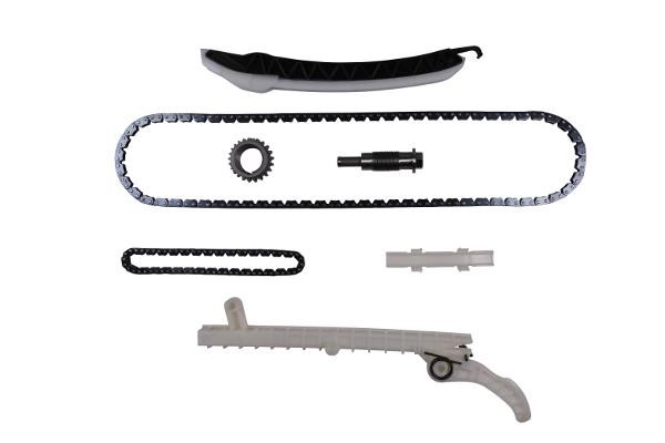 Hepu 21-0579 Timing chain kit 210579