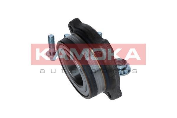 Rear Wheel Bearing Kit Kamoka 5500187