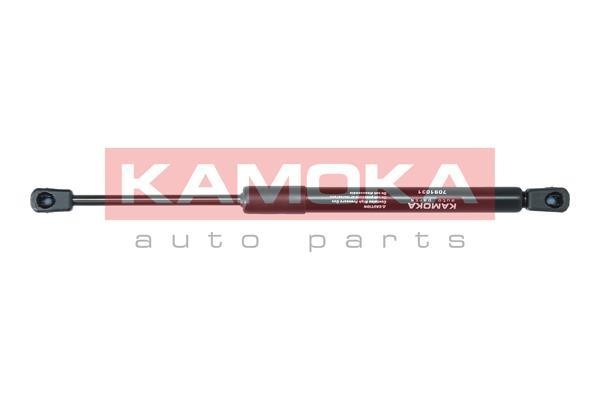7091031 Kamoka Hood shock absorber