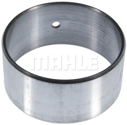 SH2176 Mahle/Clevite Camshaft bushings, kit