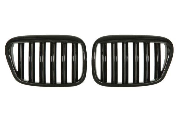 65020700659911KP Blic Grille radiator