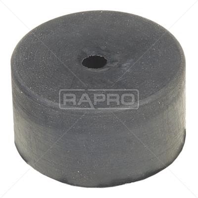 Rapro R59009 Rod/Strut, stabiliser R59009