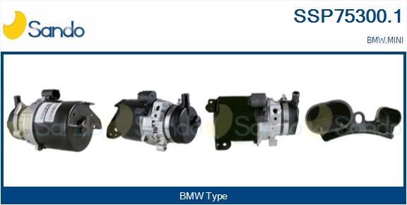 Sando SSP75300.1 Hydraulic Pump, steering system SSP753001
