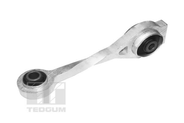 TED57560 TedGum Suspension