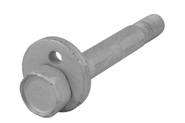 TED22300 TedGum Eccentric bolt