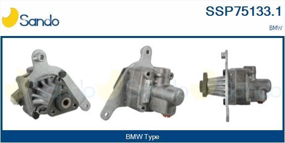 Sando SSP75133.1 Hydraulic Pump, steering system SSP751331