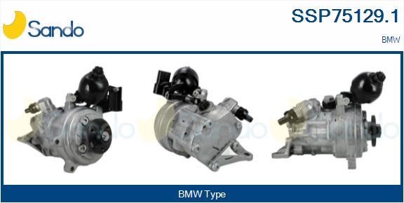 Sando SSP75129.1 Hydraulic Pump, steering system SSP751291