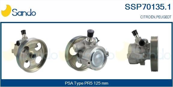 Sando SSP70135.1 Hydraulic Pump, steering system SSP701351