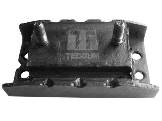 TedGum 00504773 Engine mount 00504773