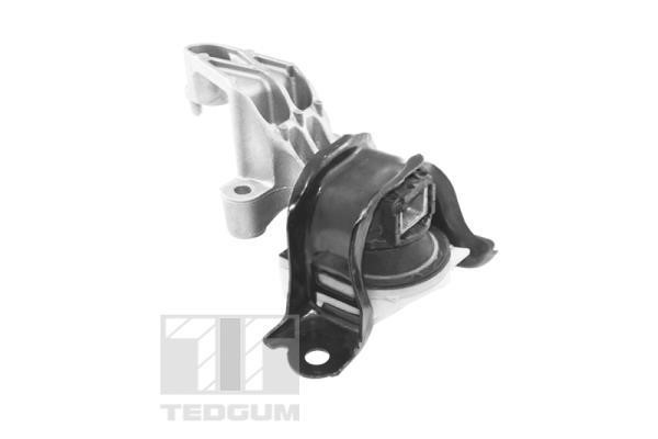 TedGum TED25761 Engine mount TED25761