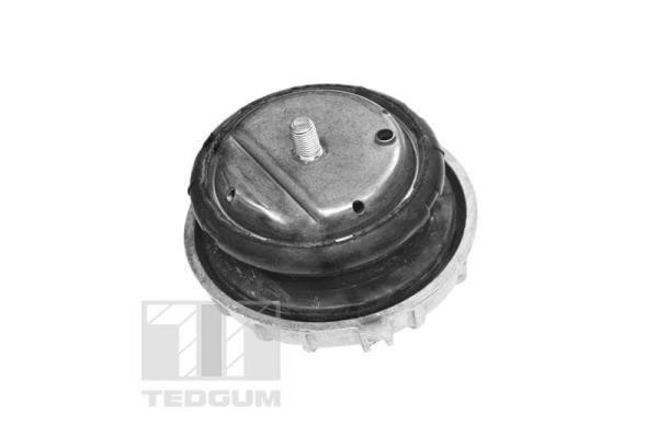 TedGum TED57477 Engine mount TED57477