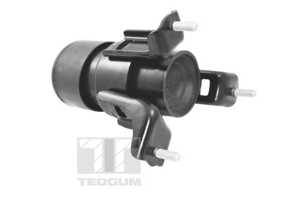 Engine mount TedGum TED62860