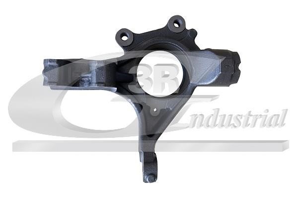 Wheel knuckle DS: 15218 3RG Knuckle swivel