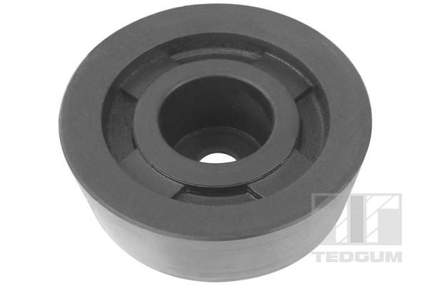 TedGum 00466569 Mounting, differential 00466569