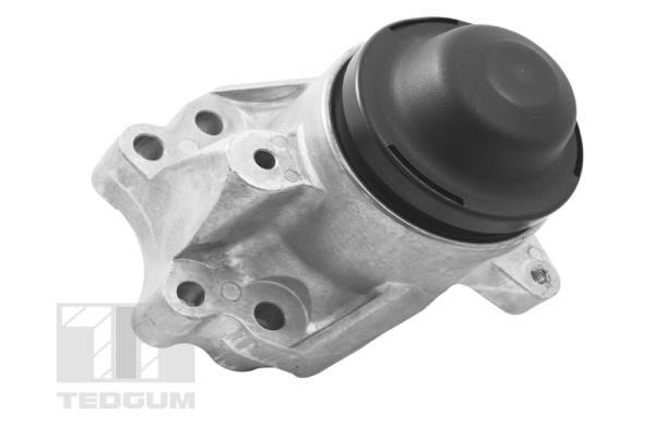 TedGum TED17586 Engine mount TED17586