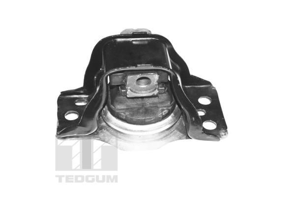 TedGum TED59889 Engine mount TED59889