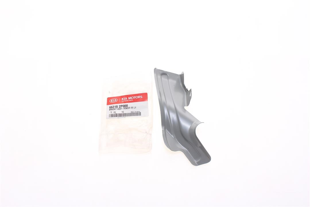 Buy Hyundai/Kia 66318 2P000 at a low price in United Arab Emirates!
