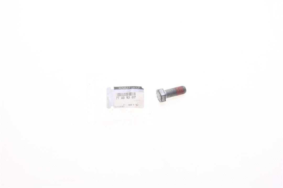 Bolt Renault 77 03 101 617
