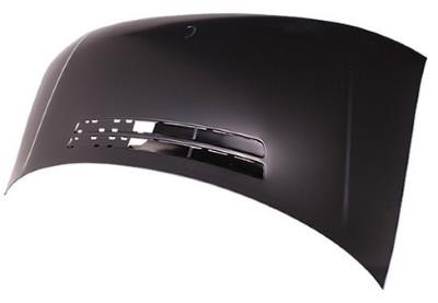501203 Polcar Hood