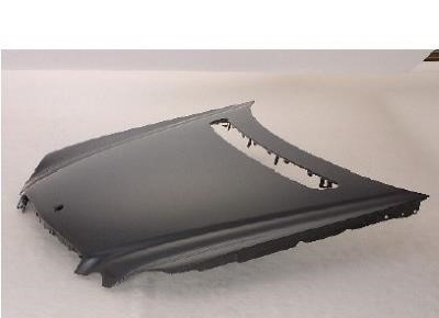 Bonnet Mercedes: 501603Q Polcar Hood