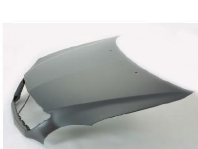 806103 Polcar Hood