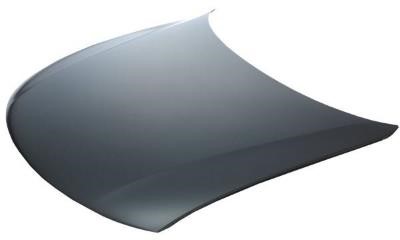 954903 Polcar Hood