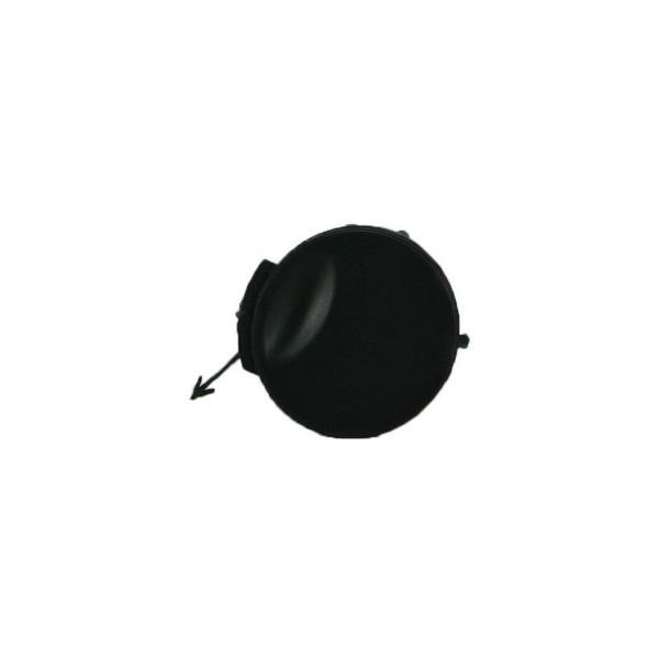 5518079 Polcar Plug