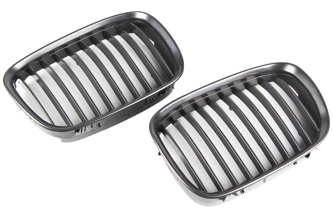 20160530 Polcar Radiator grille right