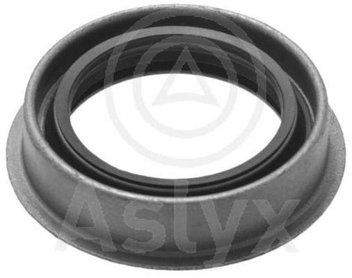 Aslyx AS-506217 Shaft Seal, differential AS506217
