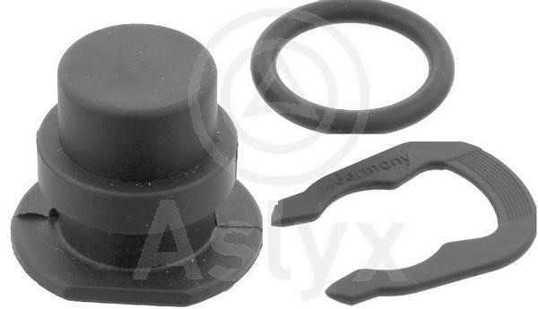 Aslyx AS-103540 Sealing Plug, coolant flange AS103540