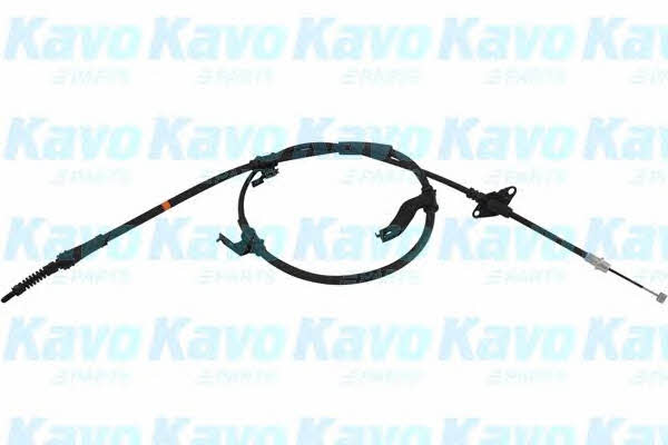Buy Kavo parts BHC-3101 at a low price in United Arab Emirates!