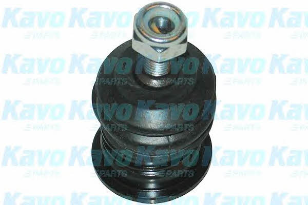 Buy Kavo parts SBJ-3016 at a low price in United Arab Emirates!