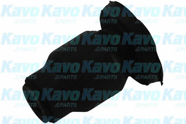 Buy Kavo parts SCR-4535 at a low price in United Arab Emirates!