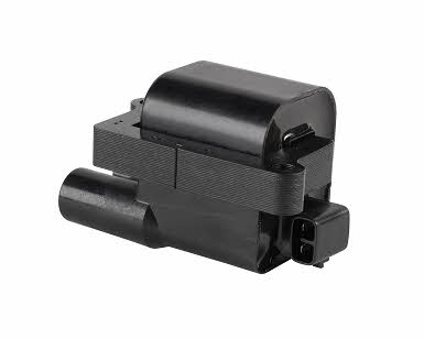 Bougicord 155387 Ignition coil 155387