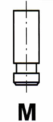 Ipsa VL163400 Exhaust valve VL163400