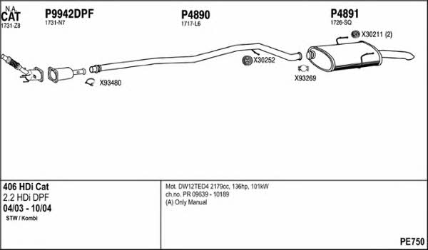  PE750 Exhaust system PE750